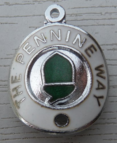 Walking stick badge with pins - stick,