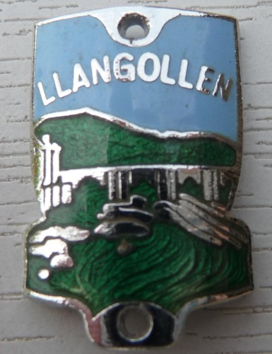 Walking stick badge with pins - badge,