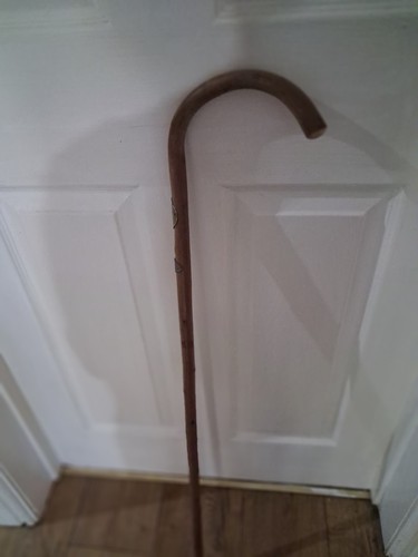 Cane walking stick - walking,