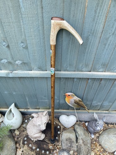 Vintage red deer stag horn - vintage,