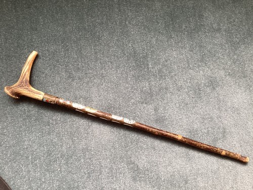Antler handle walking stick - handle,
