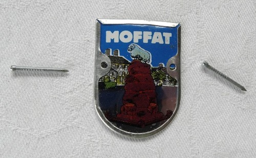 Walking stick badge with pins - stick,