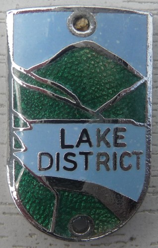 Walking stick badge with - walking,