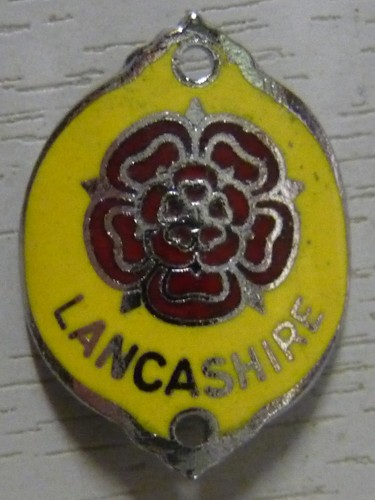 Walking stick badge with pins - badge,